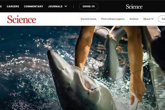 Czasopisma Nature i Science nadal w Wirtualnej Bibliotece Nauki